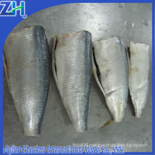 Frozen sardine hgt, caned sardine fish